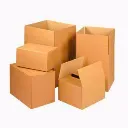 Carton double